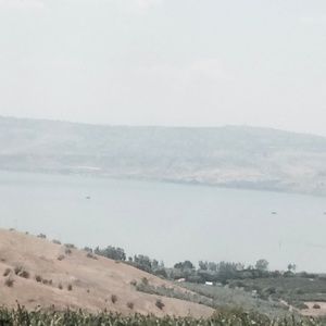 Meet your Posher, Marilyn